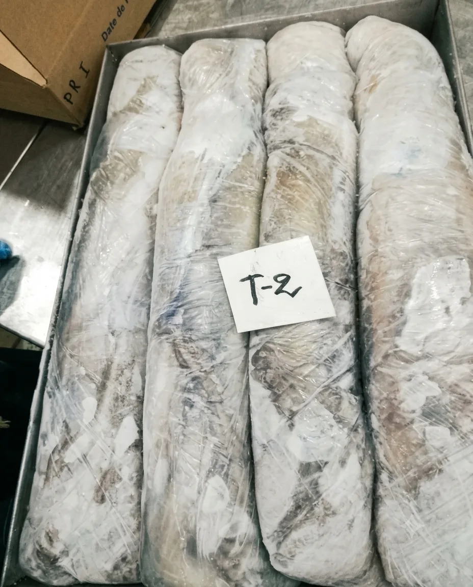 Octopus T2, individually quick frozen in stainless freezer trays