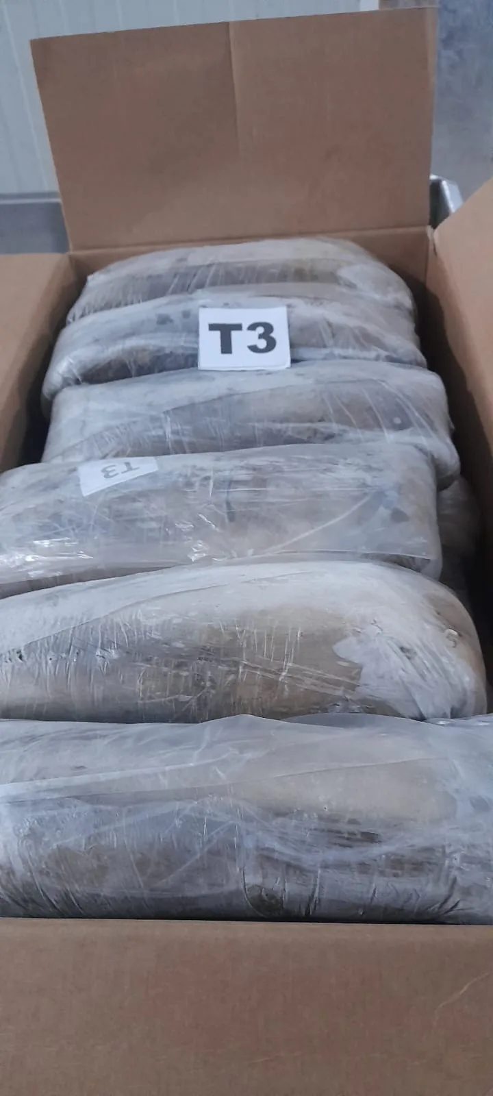Open export carton of octopus T3, individually quick frozen
