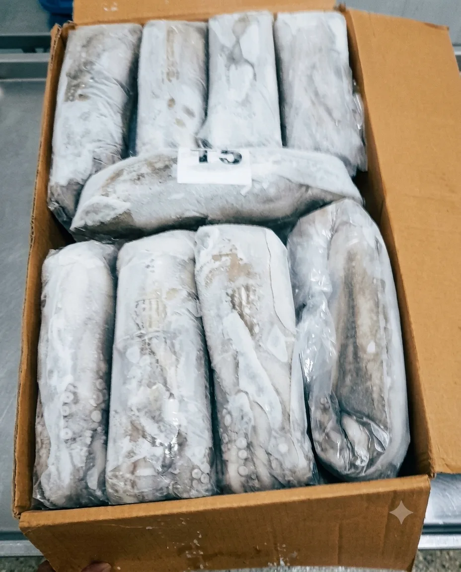 Export carton of octopus T5, individually quick frozen