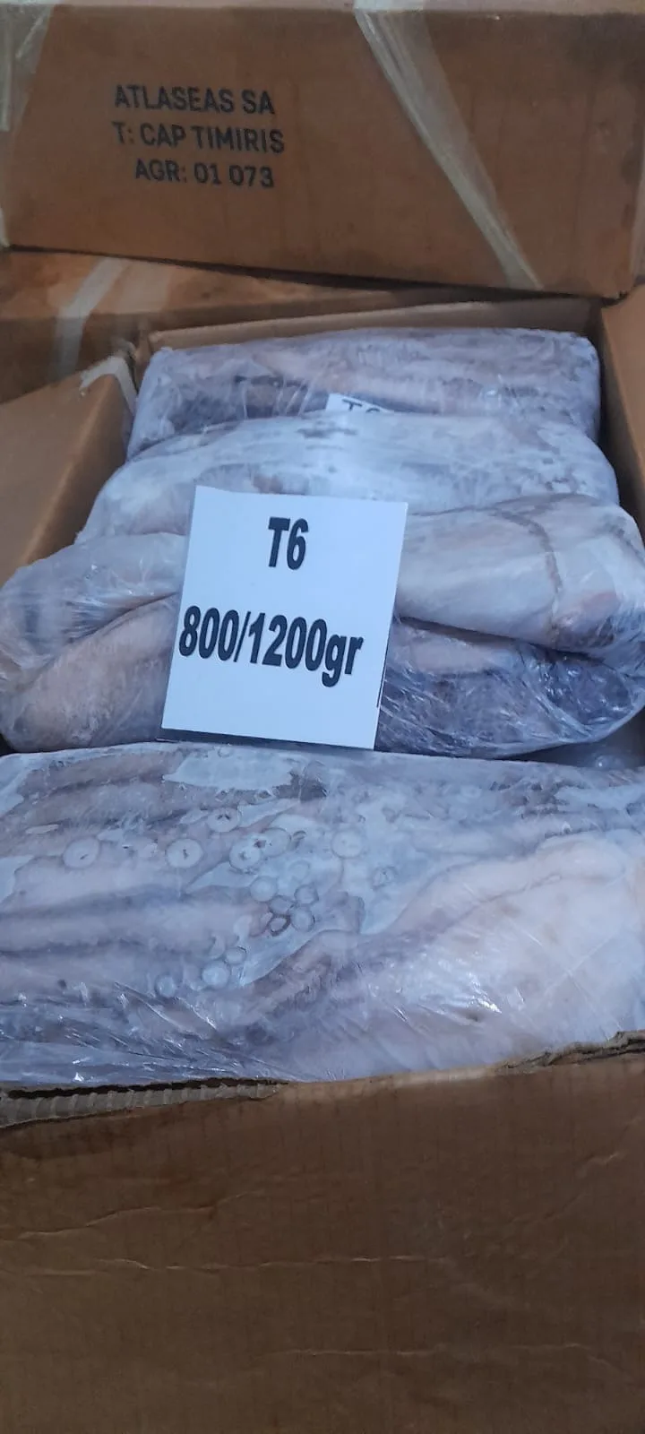 Open export carton of octopus T6, 800/1200 g units