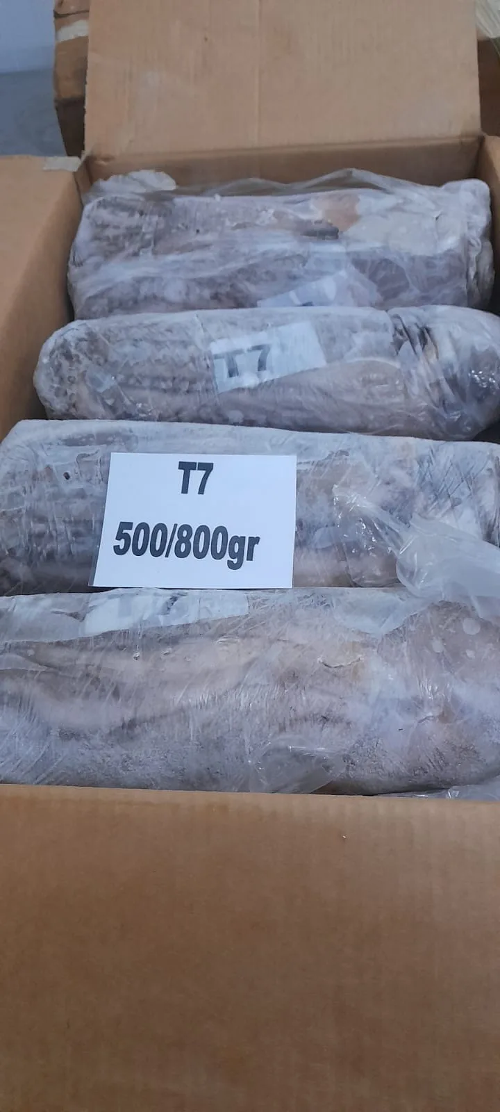 Export carton of octopus T7, 500/800 g units