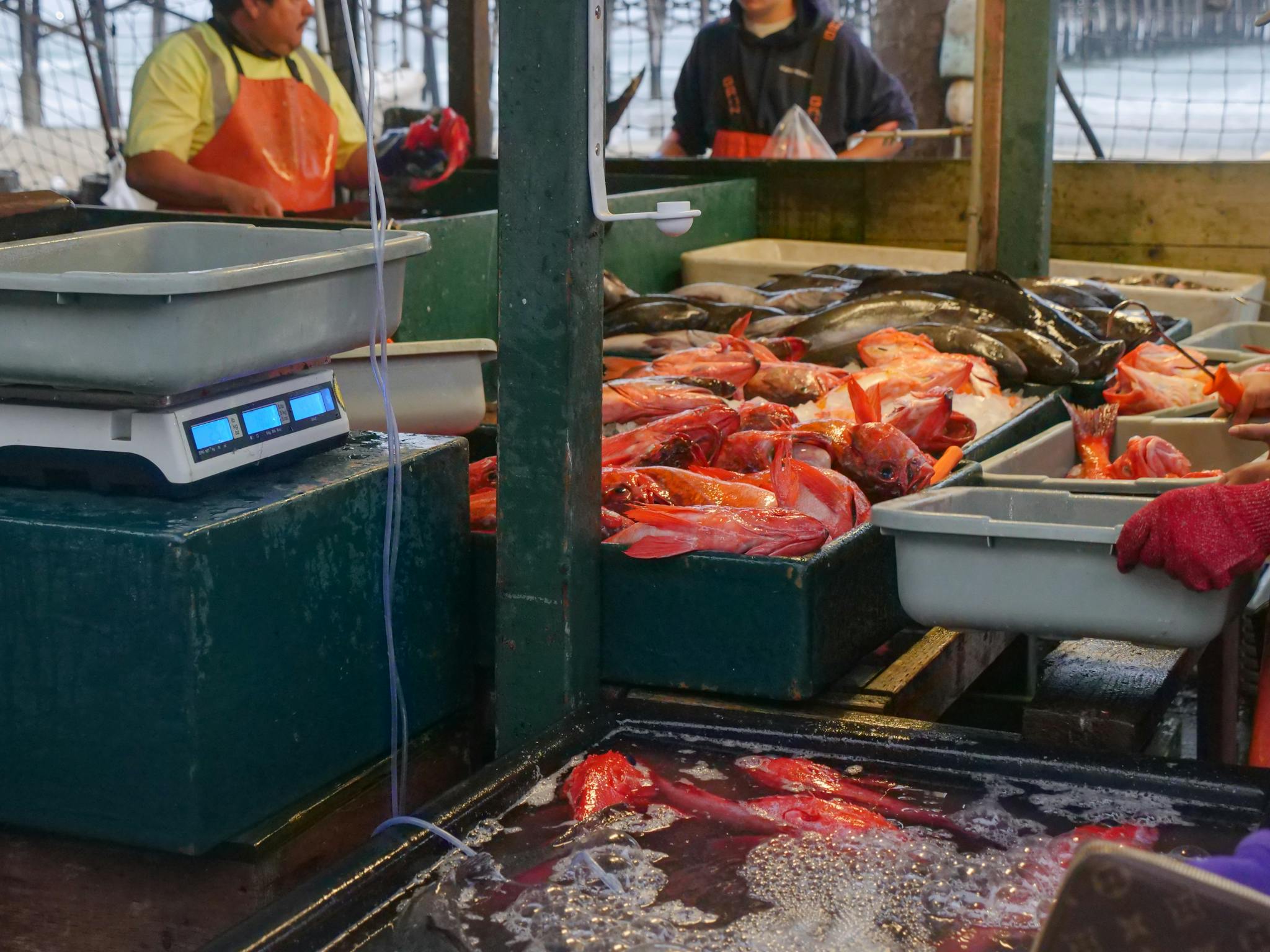 A vivid and bustling seafood market with fresh fish in trays and a scale.